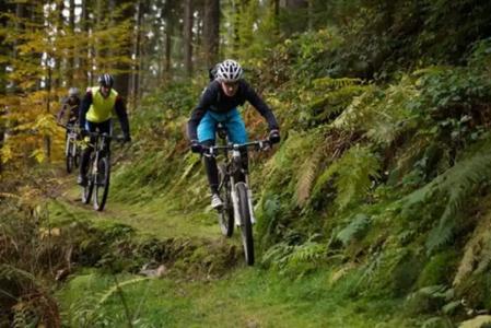 Baren Titisee - 17