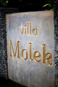 Villa Molek - 49
