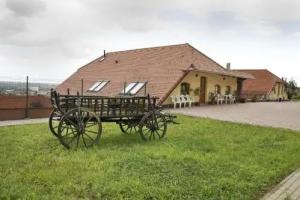 Sárosdi Pince és Panzió Hotel