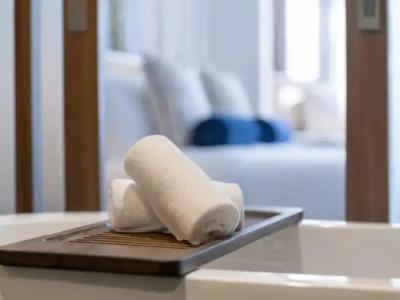 Sarai Resort & Spa and The Wander - 109