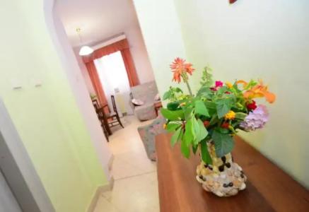Villa Velzon Guesthouse - 49