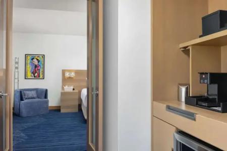 The Art Denver, Curio Collection by Hilton - 100