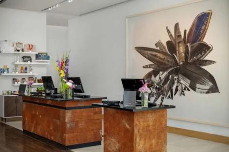 The Art Denver, Curio Collection by Hilton - 1