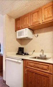 Ruidoso Mountain Inn - 16