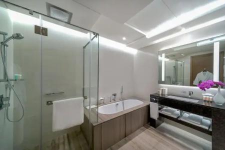 Hyatt Regency Dubai Creek Heights - 125