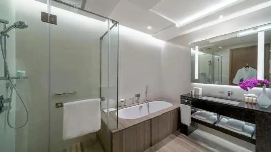 Hyatt Regency Dubai Creek Heights - 103