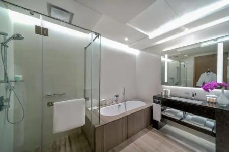 Hyatt Regency Dubai Creek Heights - 110