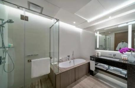 Hyatt Regency Dubai Creek Heights - 127