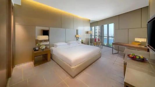 Hyatt Regency Dubai Creek Heights - 100