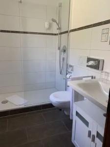 AlpenSonneck - mit Bergbahnticket - 41