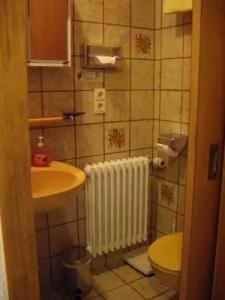 AlpenSonneck - mit Bergbahnticket - 37