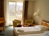 Standard Double room with balcony and with garden view