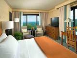 Standard Double room with panoramic view