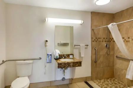 Best Western Heritage Inn - 9