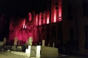 Hôtel du Palais des Papes, Avignon