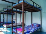 Bed in Dorm