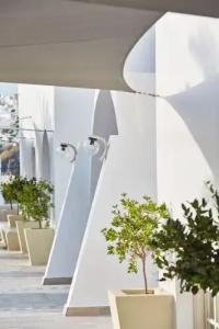 Santorini Palace - 13