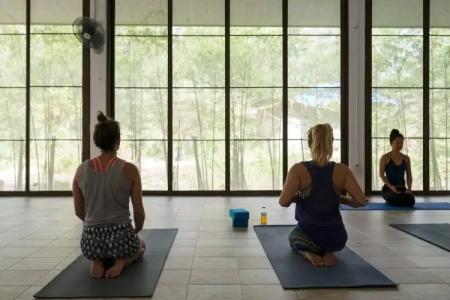 Wonderland Healing Center - 26