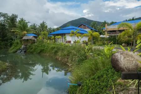 Wonderland Healing Center - 41