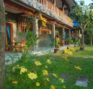 Wonderland Healing Center - 22