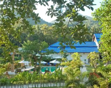 Wonderland Healing Center - 47