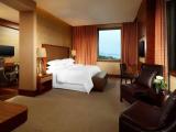 1 Bedroom Executive Double Suite