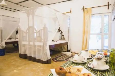 Moonshine Uroa Boutique - 65