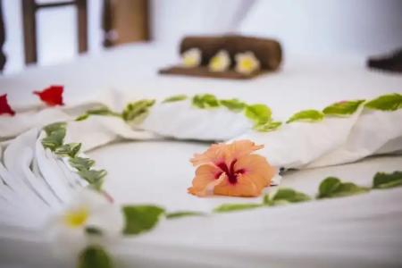 Moonshine Uroa Boutique - 138