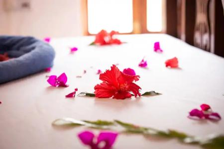 Moonshine Uroa Boutique - 10