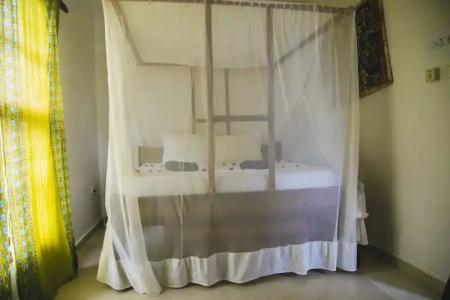 Moonshine Uroa Boutique - 153