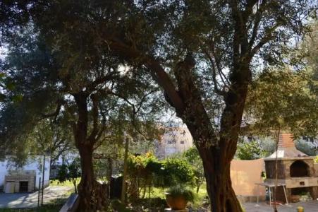 Vila Maslina Guesthouse - 32