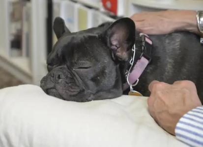 Hilltop Inn by Riversage - 13