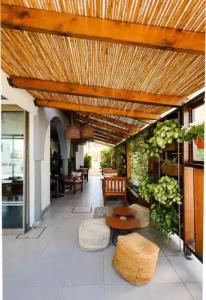 Mikes Kanarium City - 17