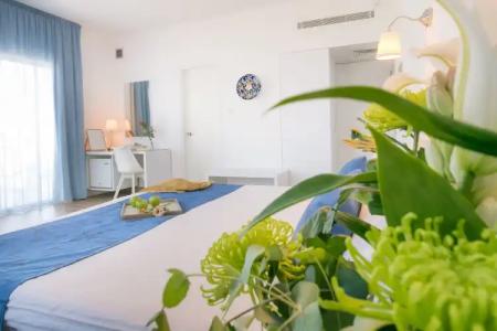 Mikes Kanarium City - 48