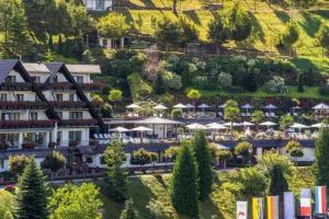 Bad Peterstal-Griesbach - Hotels