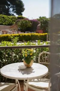 Imperial Garoupe - 66