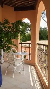 Imperial Garoupe - 101