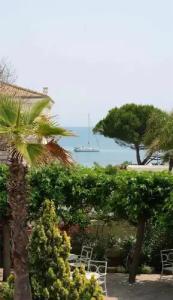 Imperial Garoupe - 97