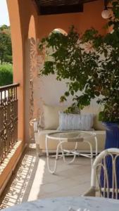 Imperial Garoupe - 99