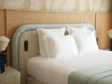 Premier room