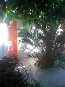 Hôtel Orange Marine - 35