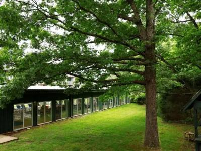 Best Western Branson Inn and Conference Center - 25