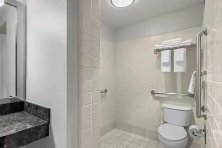 Best Western Horizon Inn - 130