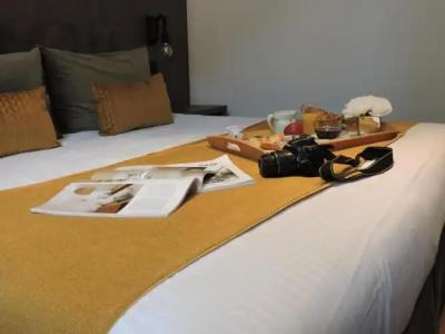 Annecy - Icône Hôtel  Annecy - 29