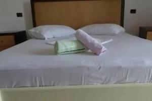 Hotel Alba-Gert, Orik