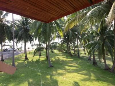 The Ford SunSet Beach Resort - 74