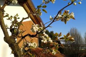 Guest house Cascina Belsito, Biella