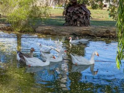 Rurale Orti di Nora & SPA - 23