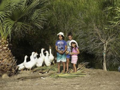 Rurale Orti di Nora & SPA - 31