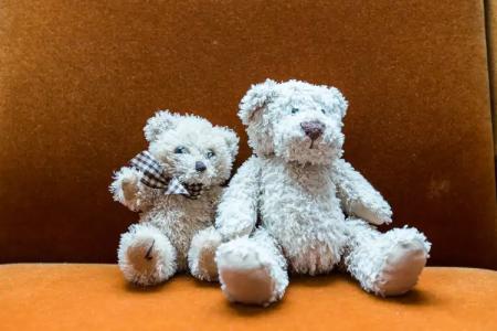 Hôtel Spa Marotte - 81